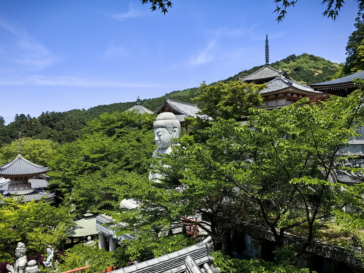 第六番 壺阪山 南法華寺（壺阪寺）